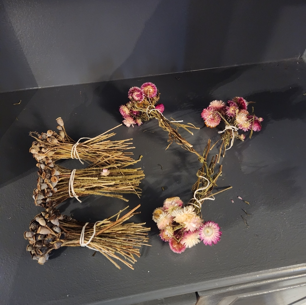 6 Little Real Dried Pod And Flower Bouquets. - Picture 6 of 9